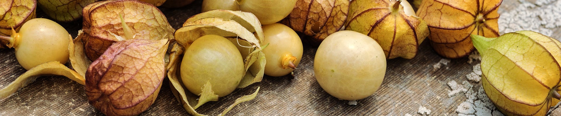 Ground Cherries