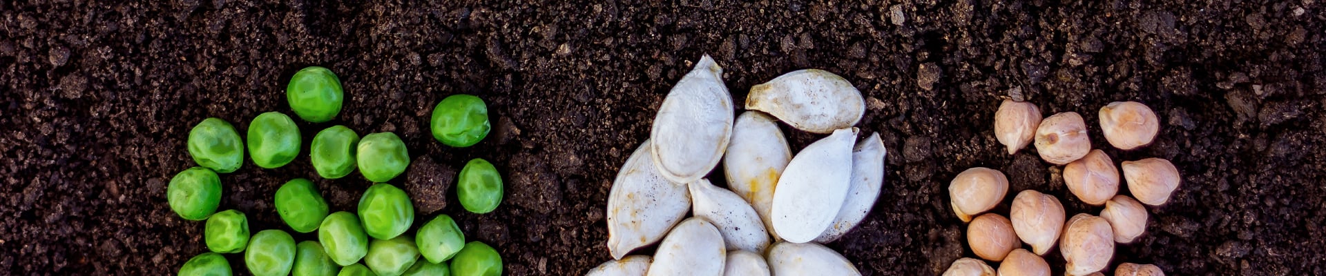 Heirloom Seed Collections