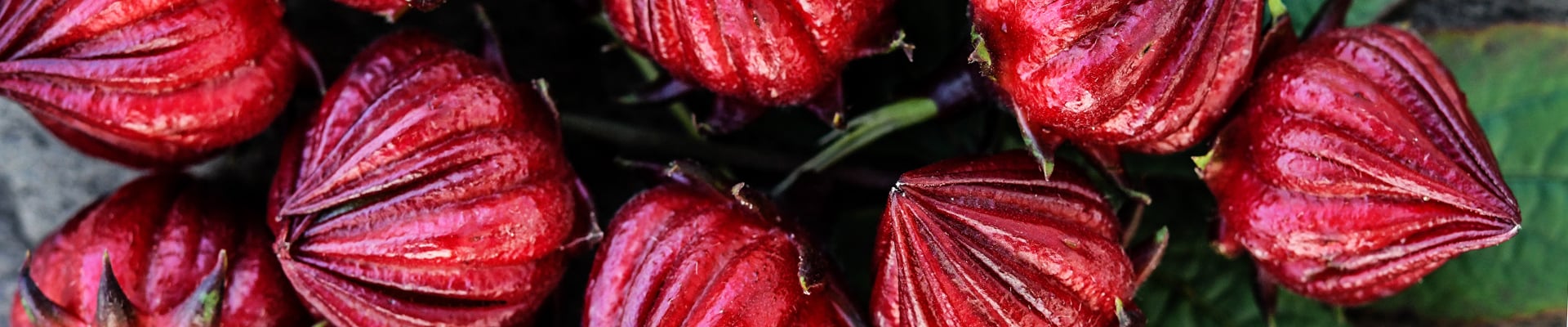 Roselle Roselle