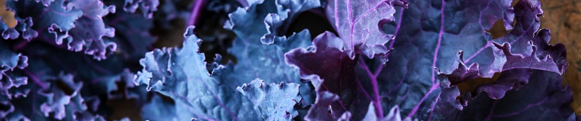 Kale