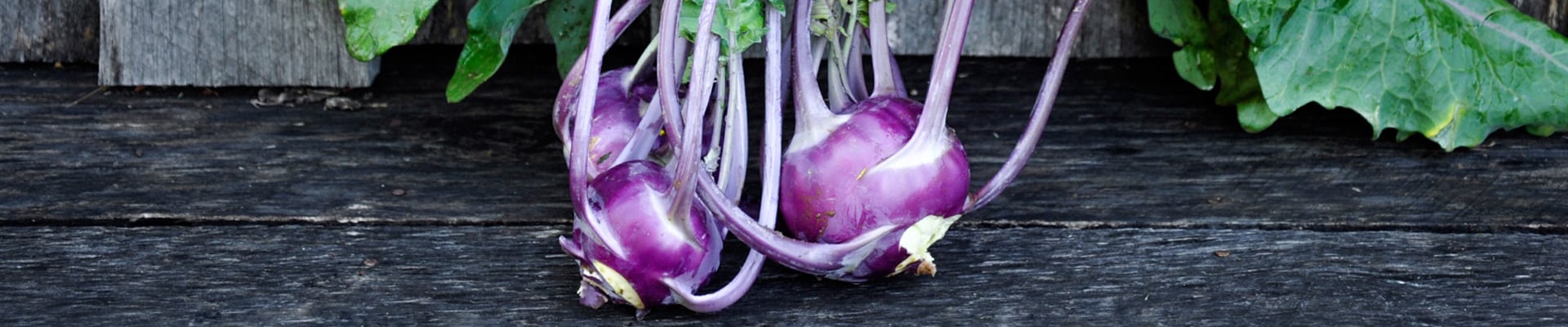 Kohlrabi Kohlrabi