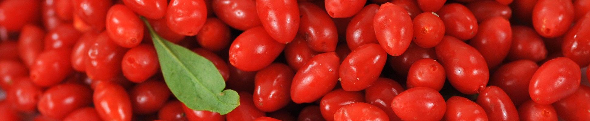 Goji Berries Goji Berries
