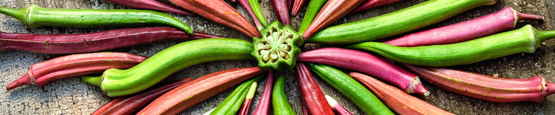 Okra