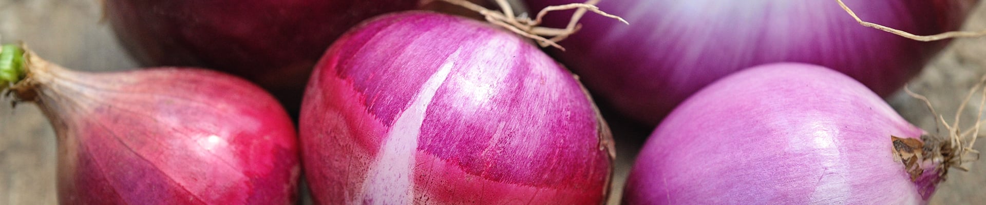 Onion