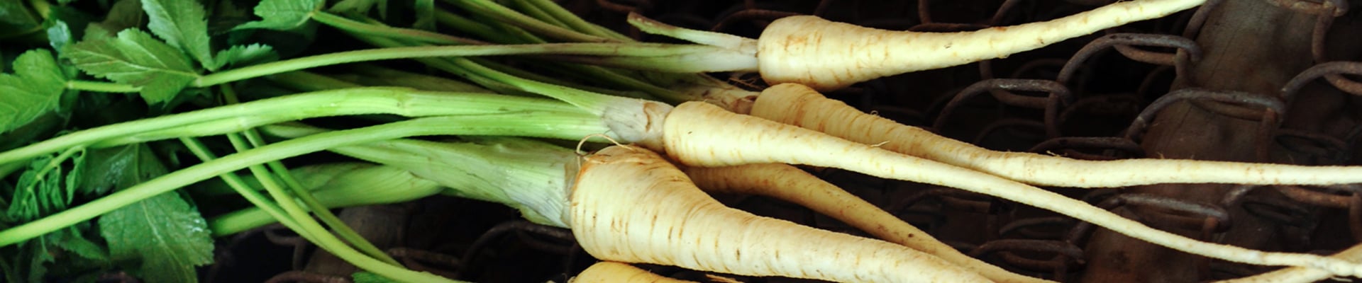 Parsnip