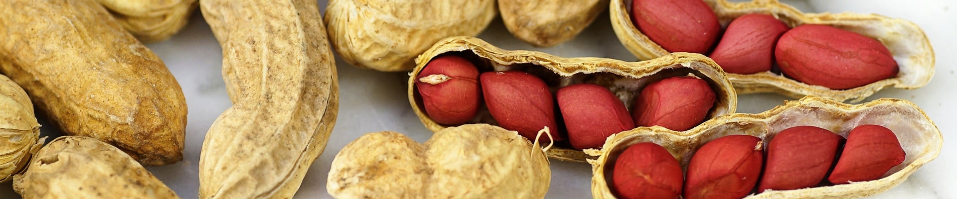 Peanuts