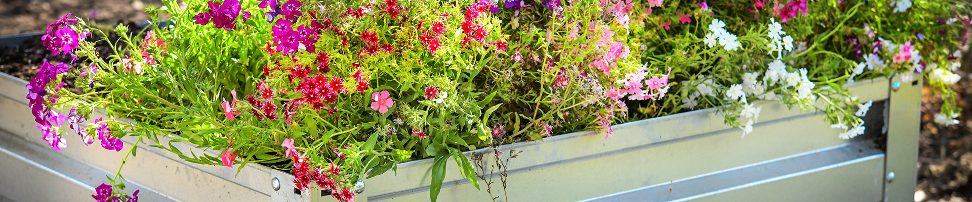 Raised Beds Raised Beds