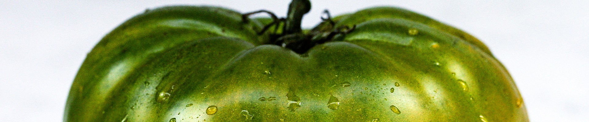 Tomatoes, Green