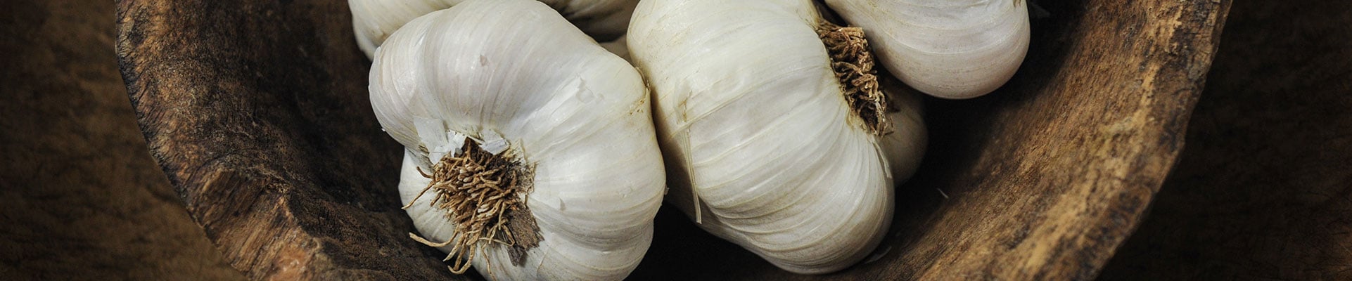 Spring Garlic Spring Garlic