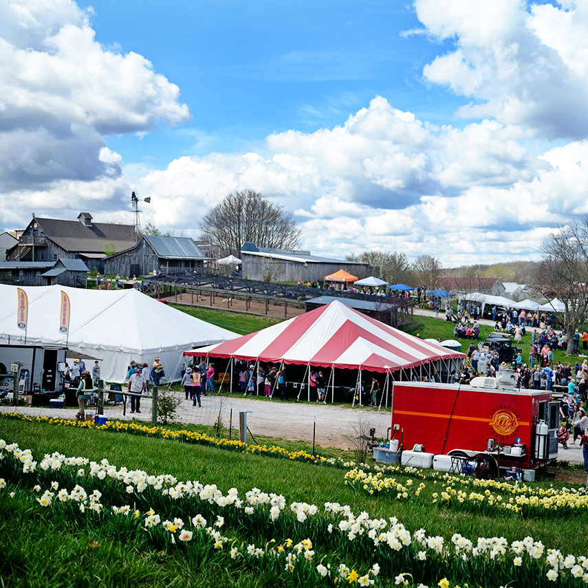 Baker Creek Tulip Festival April 2024 (per vehicle)