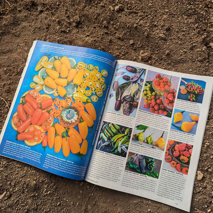 2024 Rare Seed Catalog