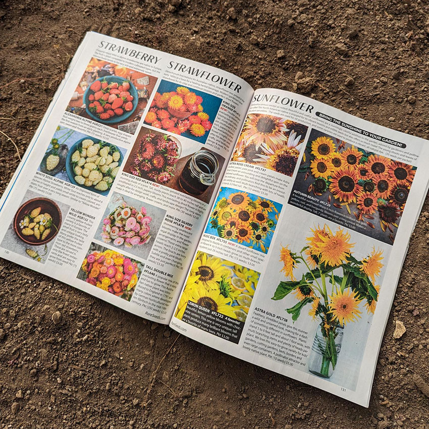 2024 Rare Seed Catalog