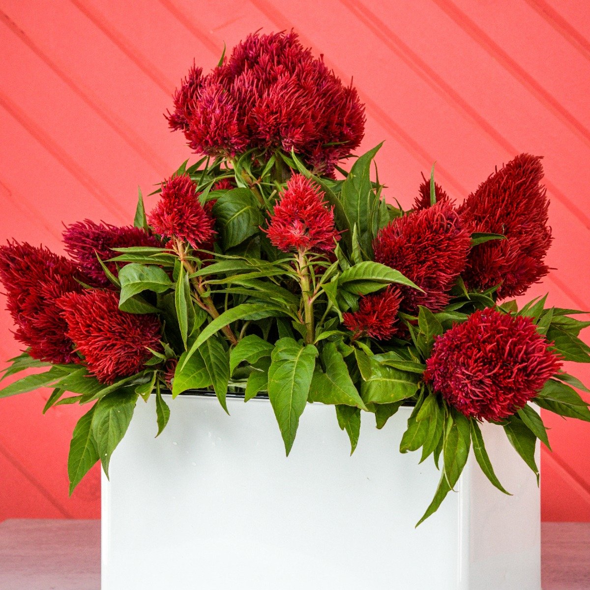 Woolen online flower image