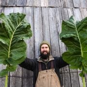 Kale Seeds, Thousandhead