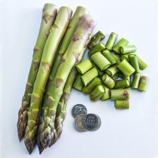 Large thick stalks of Conovers Colossal with cut asparagus and coins to show size on a white background.