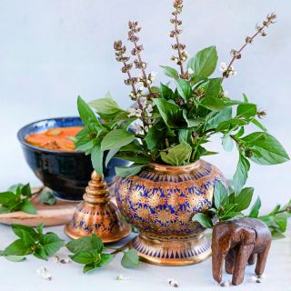 Thai Sweet Basil with Thai Red curry and some Thai style decoration on a light high key background.  