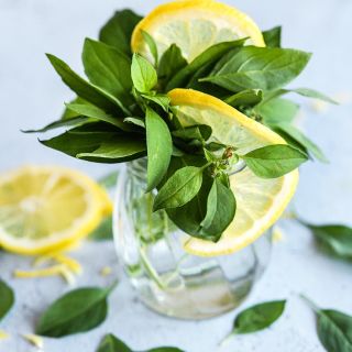 Lemon Basil with lemon slices in a clear vase on a white background. 