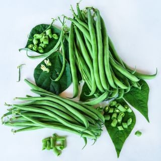 Cut and whole Odeon Bush Beans arranged on white background.