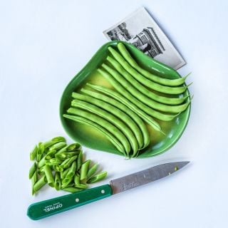 Cantare Beans on a green plate with a French Knife and postcard on a white background.