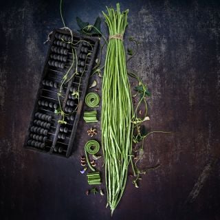 Bundled, chopped and whole Taiwan Yard-Long Beans with blooms on a dark brown background.