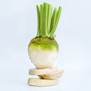 A single Albino Beet balanced on slices against a white background.