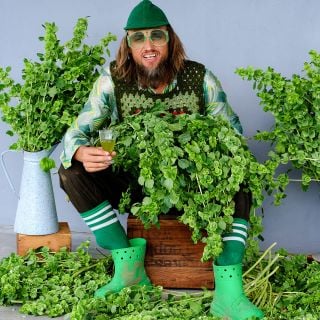 Ryan in green smiles whilst sipping some Bells of Ireland tea and surrounded by flowers.