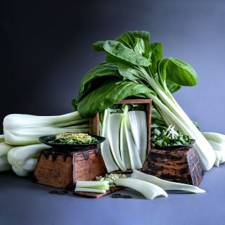 Whole, cut and chopped Snow White Bok Choy with a couple of plated recipes on gray background.