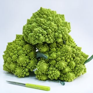 A trio of Romanesco Italia Cauliflower with a matching green handled knife on a white background.