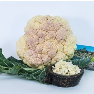 Durgesh 41 Cauliflower head with a postcard and bowl full of chopped cauliflower.