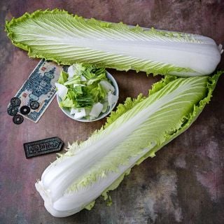 A couple of heads of Granaat Chinese Cabbage in a bowl with money on a painted background.