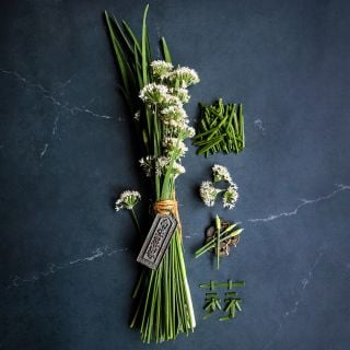 A bundle of blooming Chinese Chives with piles of cut chives, coins and blooms.