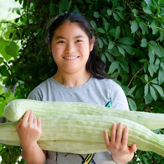 Ella holding Armenian Yard-Long Cucumber