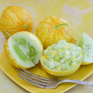 Lemon Cuke with cucumber salad.
