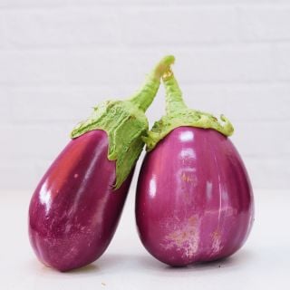 Duo Rosita Eggplant.
