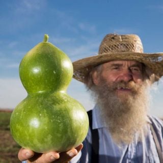Birdhouse Gourd held by a gardener in the field.