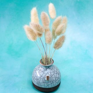Bunny Tails Grass in a crackled vase on light blue background.