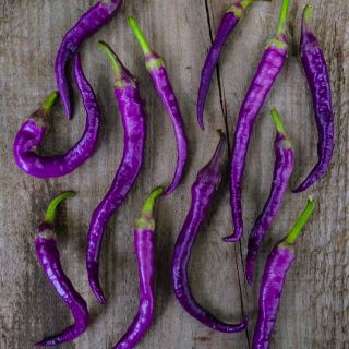 Buena Mulata Peppers on wooden table.