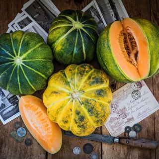 Melon, Noir de Carmes