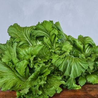 Unzen Kobu Mustard greens