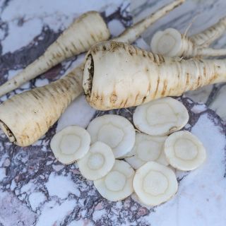 Half Long Guernsey Parsnip with slices on marble background.