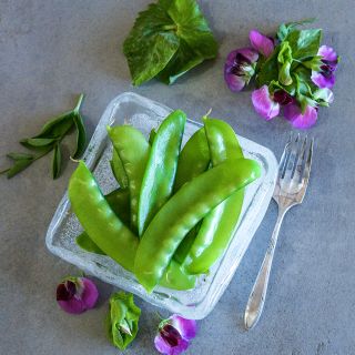 Green Beauty Snow Pea on block of ice with blooms on grey background.