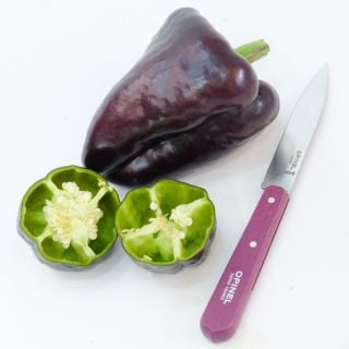 One whole purple Zulu Sweet Pepper next to a sliced pepper and a purple-handled knife.