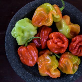 Aji Chombo Peppers