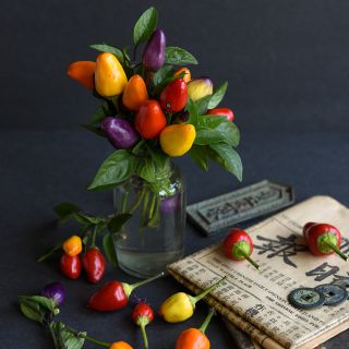 Chinese Five Color Pepper  bouquet in varying colors.