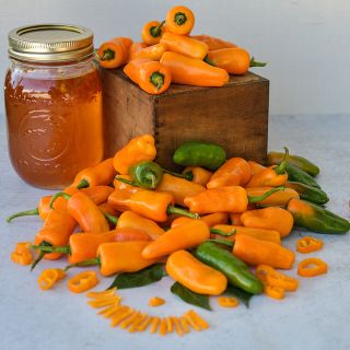 Orange and green Datil peppers with jelly.