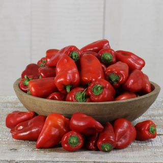 Several red Lipstick Peppers in a wooden bowl surrounded by more red peppers on a white background.
