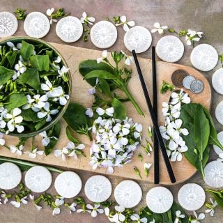 China Jade Radish with radish greens salad and blooms surrounded by radish slices.