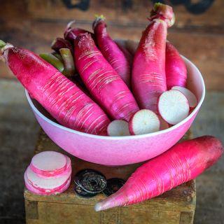 China Rose Radishes in bowl with slices on a wooden background.