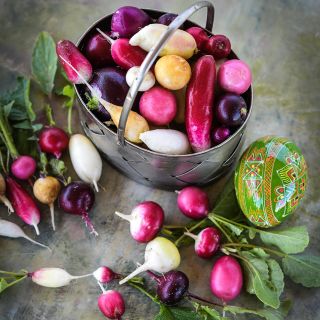 A basket full of Easter Basket Mix Radishes on a pastel green background with a decorated egg.