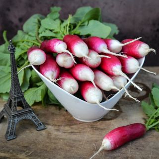 French Breakfast Radishes in bowl with a miniature Eiffel Tower.
